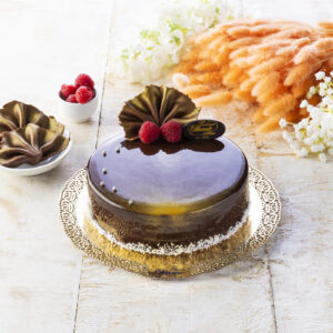 Torta Moderna al cioccolato