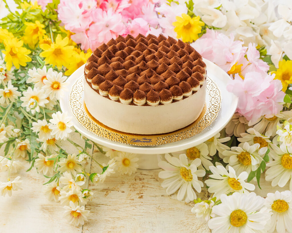 Torta Tiramisù