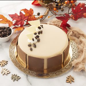 Torta Moderna al caffè