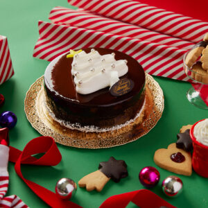 Torta Moderna al cioccolato speciale Natale